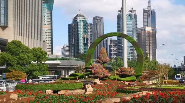 1583739347470457.jpg mmexport1541857359905.jpg